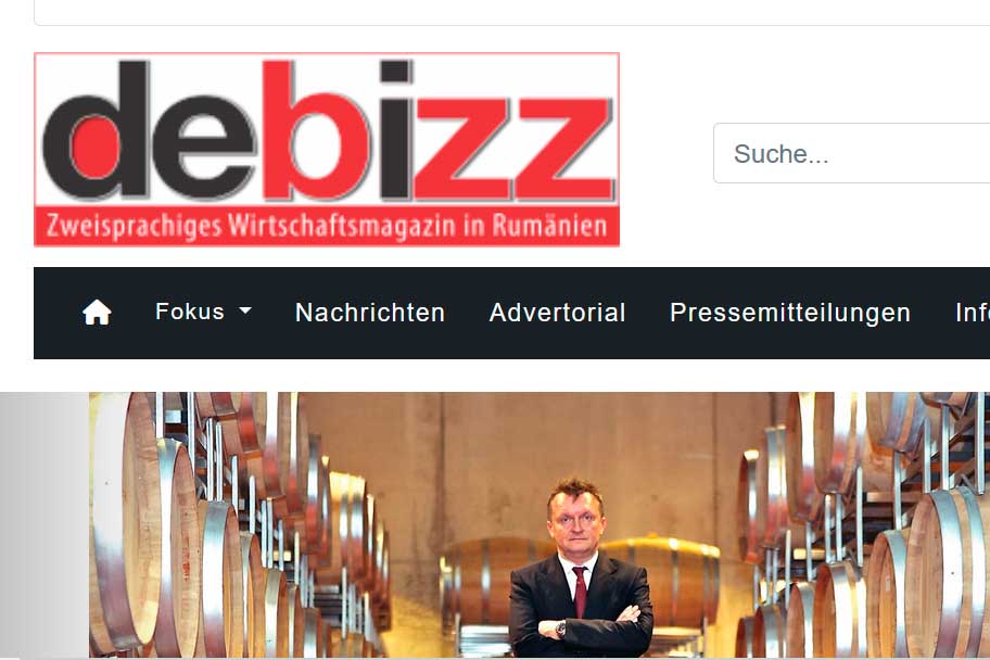 debizz screenshot
